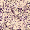 Tonga Chateau - Wine - 2 yd cut